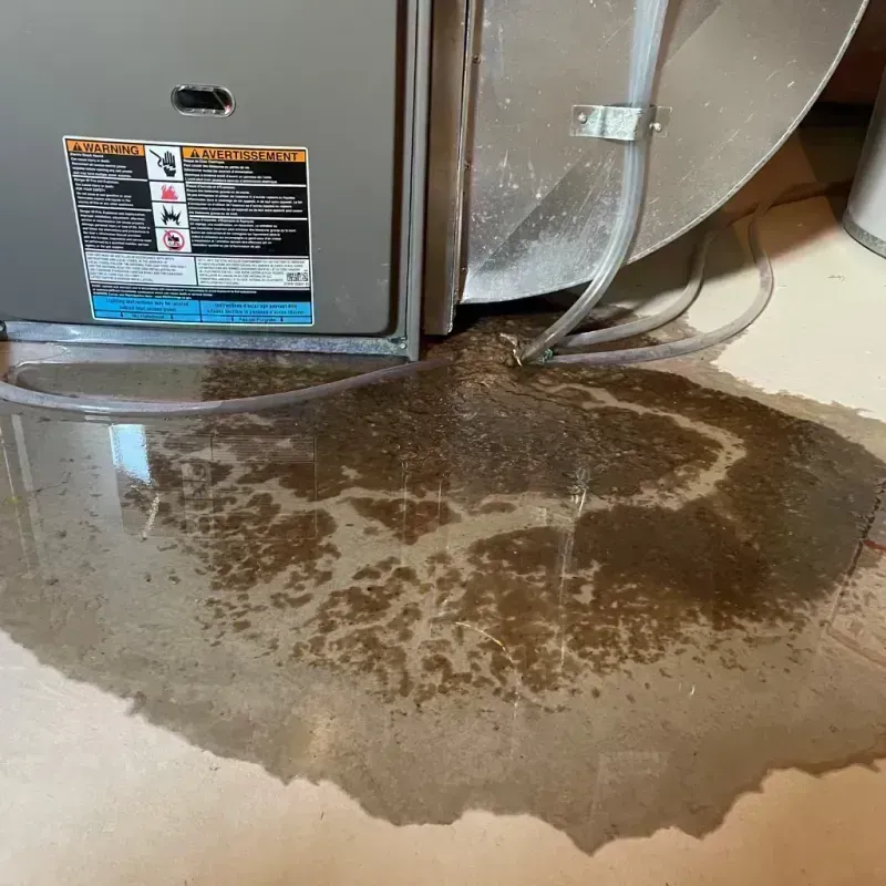 Appliance Leak Cleanup in Clay County, IL